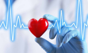 Ехокардіографія вагітних в умовах відділення паталогії вагітності перинатального центру