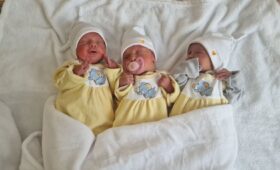 Потрійне диво у Житомирському перинатальному центрі